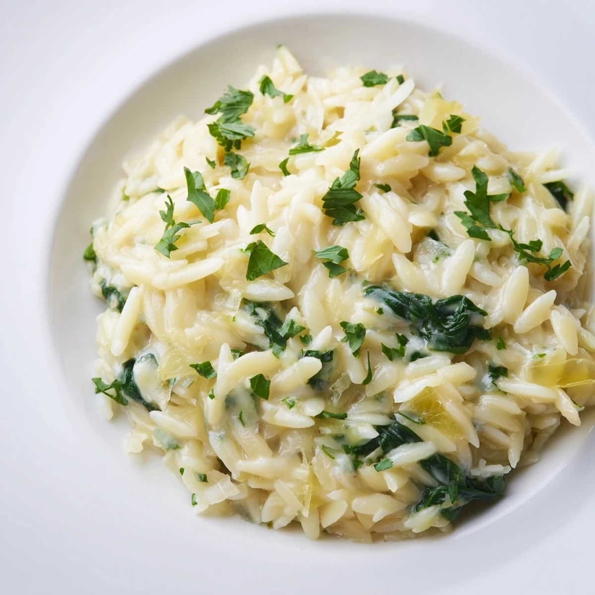Steaming bowl of one-pot creamy orzo, finished with fresh parsley, is ready to be served.